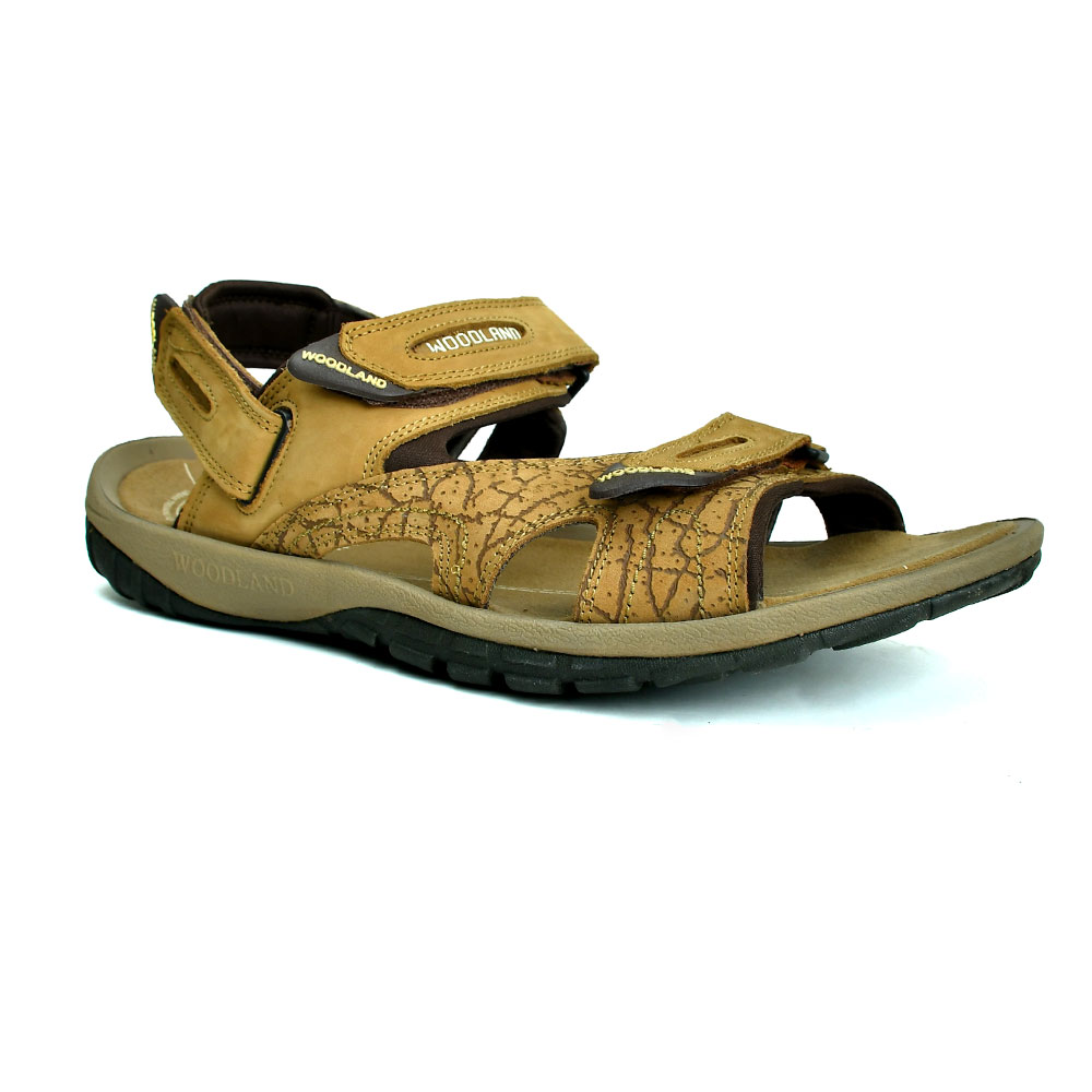 Woodland Men's Olive Green Leather Sandal (GD 1033111Y15) : Amazon.in:  Fashion